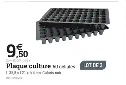 Espace emeraude Plaque culture 60 cellules offre