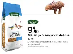 Espace emeraude BELCANTO Mélange oiseaux du dehors offre