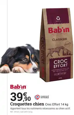 Espace emeraude BABIN Croquettes chien offre