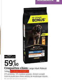Espace emeraude PRO PLAN Croquettes chien Large Adult Robust offre