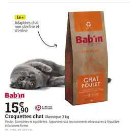 Espace emeraude BABIN Croquettes chat Classique offre