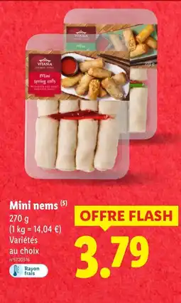 Lidl Mini nems offre
