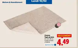 Lidl LIVARNO Tapis de bain offre