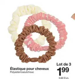 Zeeman Élastique pour cheveux offre