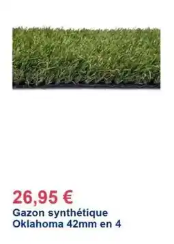 Décor Discount Gazon synthétique oklahoma offre