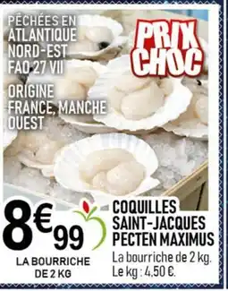marché frais Géant Coquilles saint-jacques pecten maximus offre