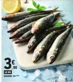 E.Leclerc SARDINE offre