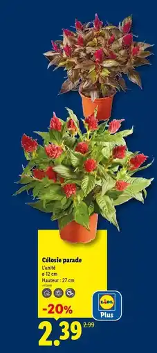Centrakor Le marche-pied pliable offre