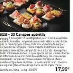 Thiriet 30 Canapés apéritifs offre