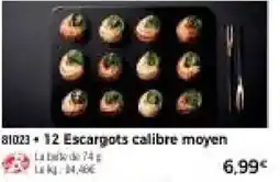 Thiriet 12 escargots calibre moyen offre