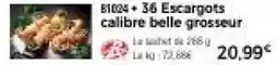 Thiriet 36 escargots calibre belle grosseur offre