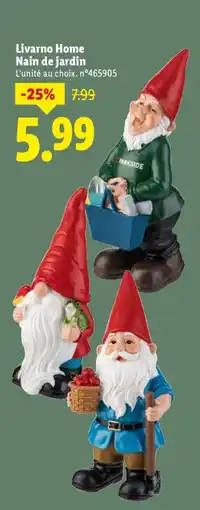 Lidl Livarno home nain de jardin offre