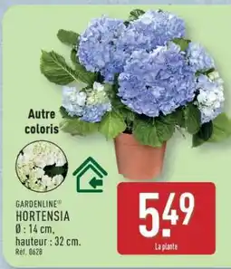 ALDI GARDENLINE HORTENSIA offre