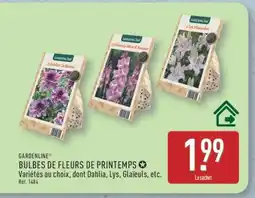 ALDI GARDENLINE BULBES DE FLEURS DE PRINTEMPS offre