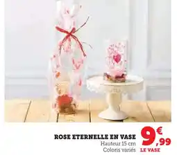 U Express Rose éternelle en vase offre