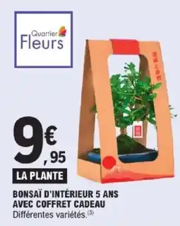 E.Leclerc Express Bonsaï d'intérieur 5 ans avec coffret cadeau offre