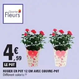 E.Leclerc Express Rosier en pot avec couvre-pot offre