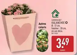 ALDI Autres coloris offre