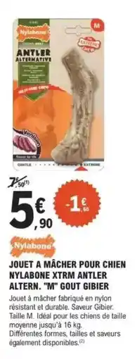 E.Leclerc Jardi Jouet a macher pour chien nylbons xtrm antier altren m gout gbiber offre