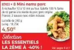 Thiriet Mini nems porc offre