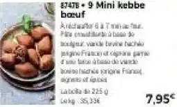 Thiriet 87478-9 Mini kebbe bœuf offre