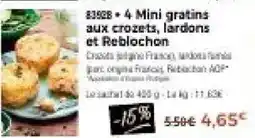 Thiriet 4 mini gratins aux crozets, lardons et reblochon offre