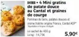 Thiriet 4 mini gratins de patate douce au cantal et graines de courge offre