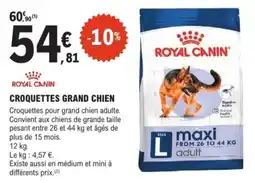 E.Leclerc Brico Royal canin croquettes grand chien offre