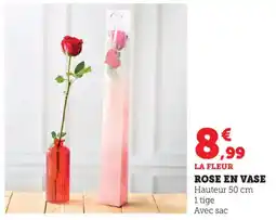 Bi1 Rose en vase offre