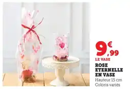 Bi1 Rose eternelle en vase offre