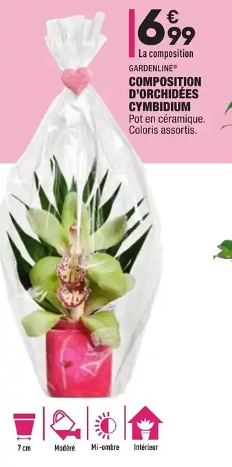 ALDI Composition d'orchidées cymbidium offre