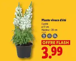 U Express Alsace lait - lait frais pasteurisé 1/2 écrémé offre