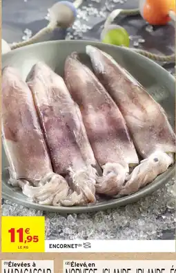 Intermarché Hyper Encornet offre