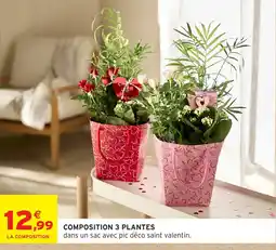 Intermarché Hyper Composition 3 plantes offre