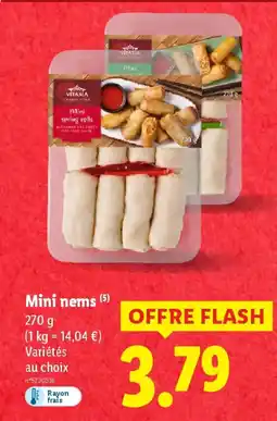 Lidl Mini nems offre
