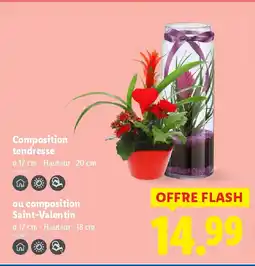 Lidl Composition tendresse offre