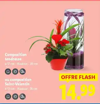 Lidl Composition tendresse offre