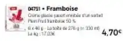 Thiriet Frozen yogurt framboise offre