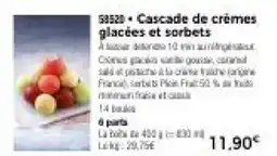 Thiriet Cascade de crèmes glacées et sorbets offre