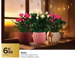 Carrefour Rosier offre