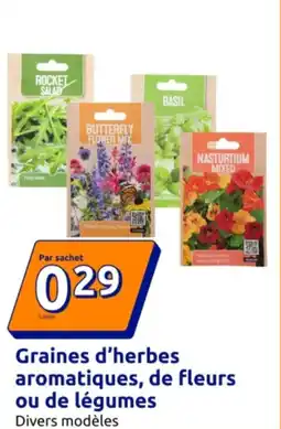 Action Graines d'herbes aromatiques, de fleurs ou de légumes offre