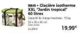 Thiriet Glacière isotherme xxl jardin tropical 60 litres offre