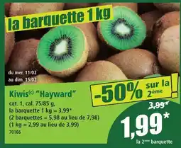 Norma Hayward kiwis offre