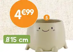 b&m Pot visage offre