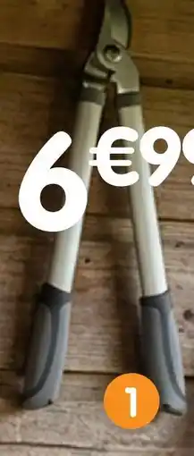 b&m Coupe branches offre