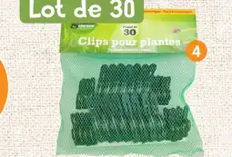 b&m Lot de 30 pinces pour plantes offre