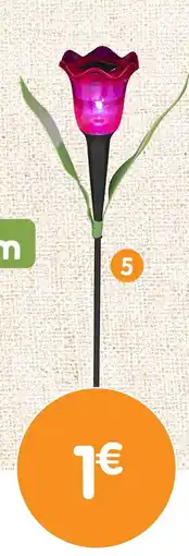 b&m Piquet rose offre