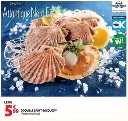 Auchan Supermarché Pavillon france - coquille saint-jacques offre