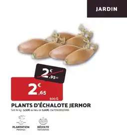 Bricomarché Plants d'échalote jermor offre