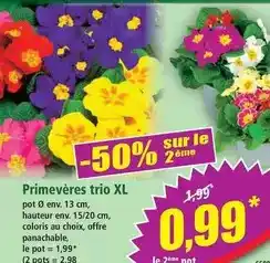 Norma Primevères trio xl offre